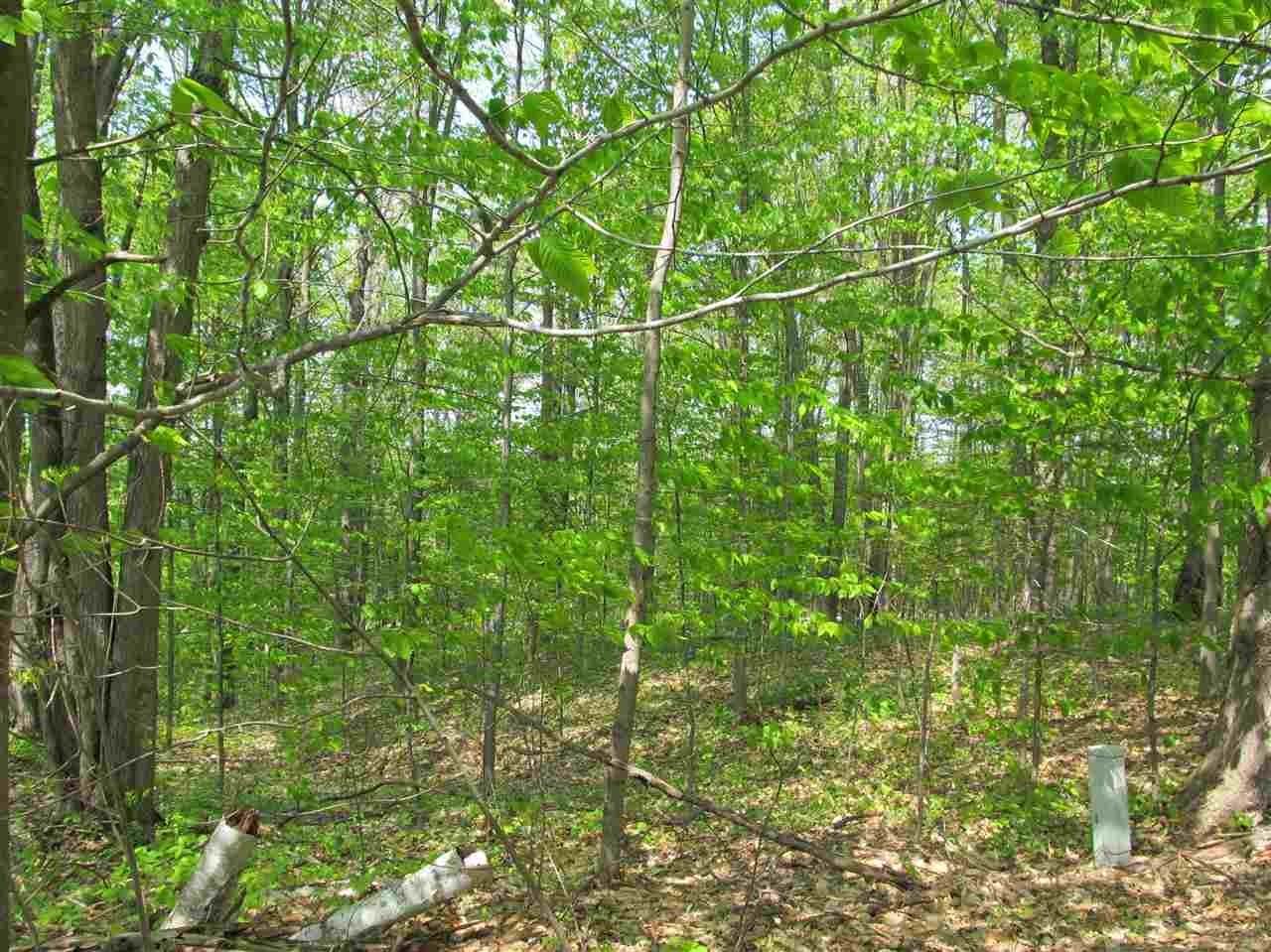 2. Land for Sale at 2263 Knollwood Drive Harbor Springs, Michigan 49740 United States