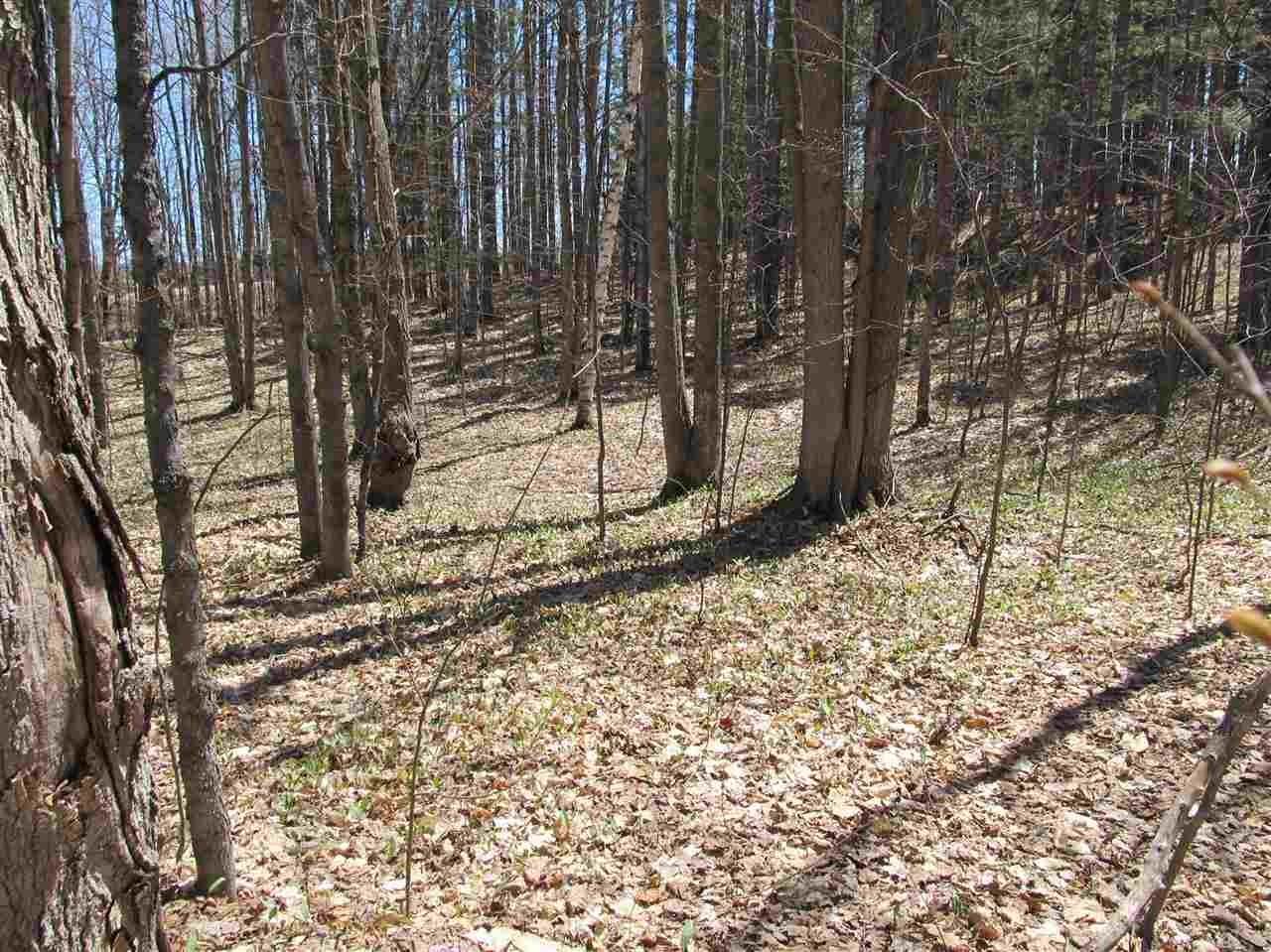 6. Land for Sale at 2263 Knollwood Drive Harbor Springs, Michigan 49740 United States