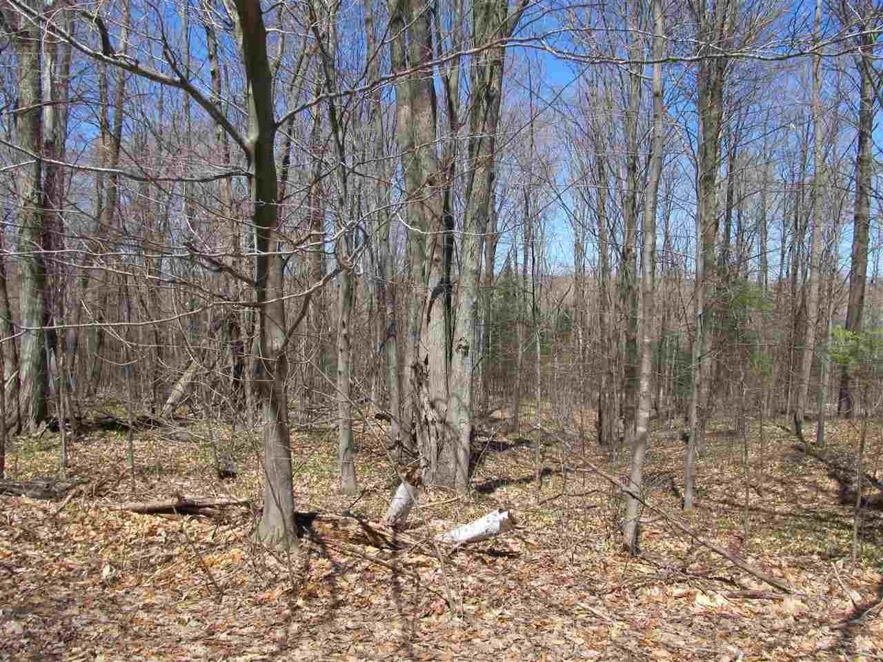 8. Land for Sale at 2263 Knollwood Drive Harbor Springs, Michigan 49740 United States