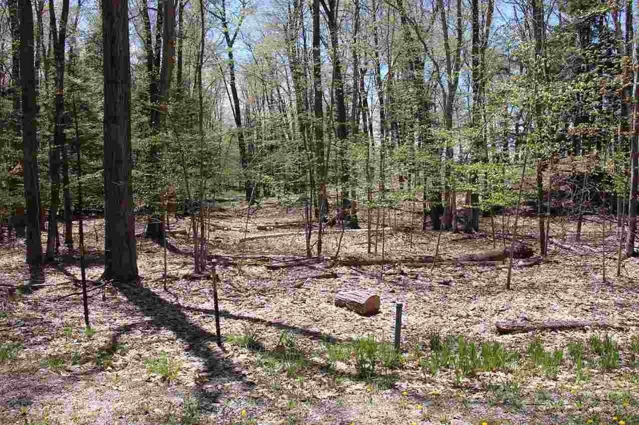 2. Land for Sale at 1222 Timber Pass Harbor Springs, Michigan 49740 United States