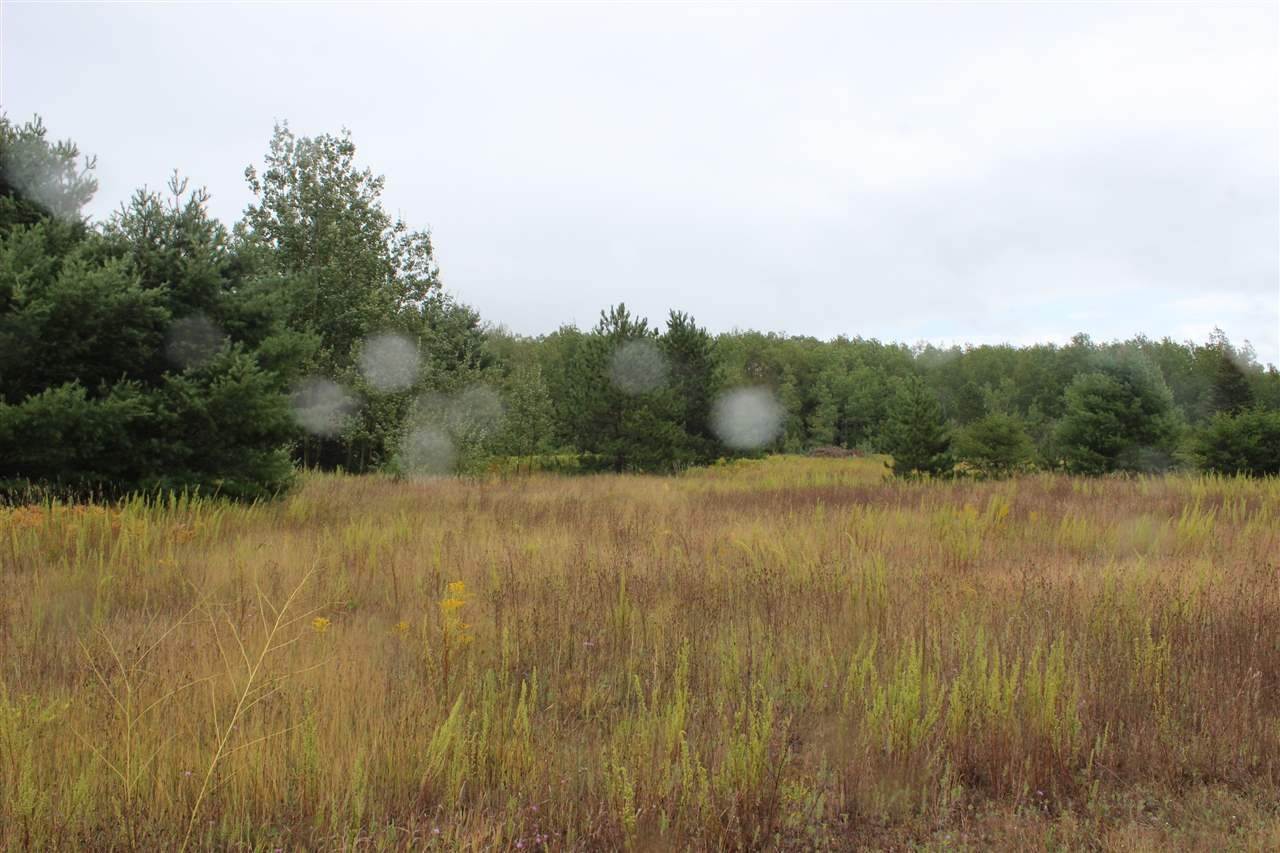 4. Land for Sale at 6421 Airport Crossing Road Pellston, Michigan 49769 United States