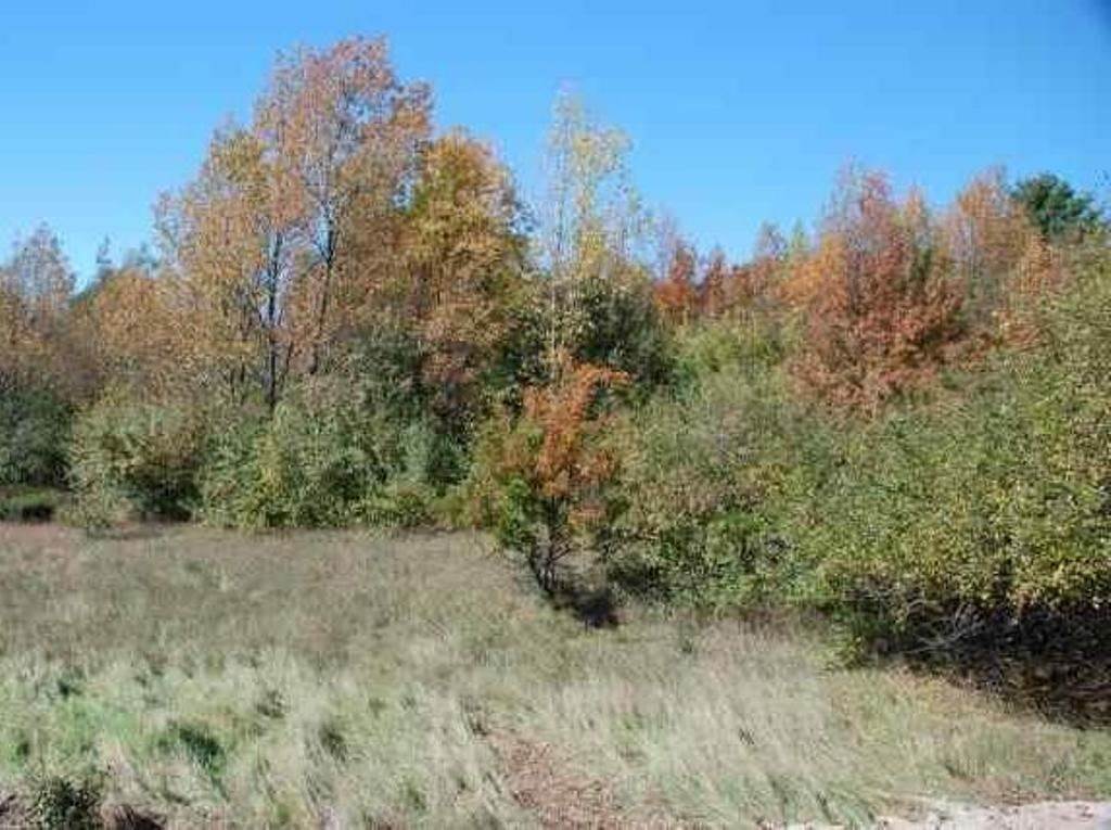 8. Land for Sale at 5644 N US-31 Acme, Michigan 49610 United States