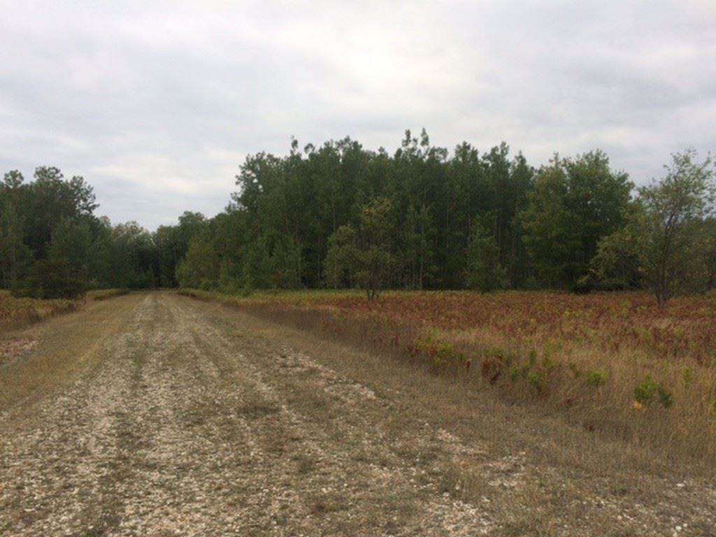 2. Land for Sale at TBD Industrial & Zipf Trail Pellston, Michigan 49769 United States