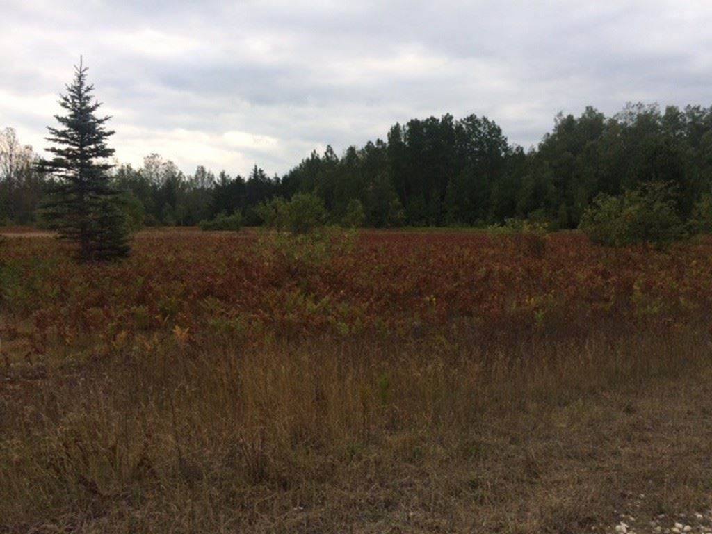 3. Land for Sale at TBD Industrial & Zipf Trail Pellston, Michigan 49769 United States