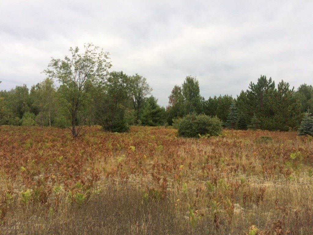 6. Land for Sale at TBD Industrial & Zipf Trail Pellston, Michigan 49769 United States