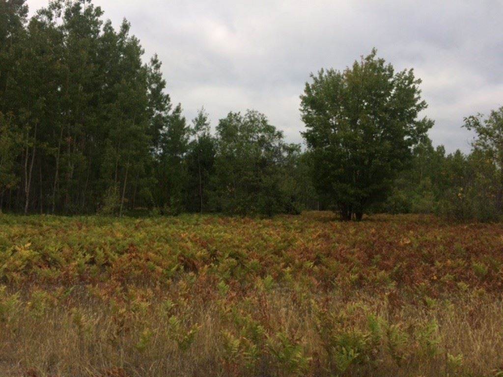 10. Land for Sale at TBD Industrial & Zipf Trail Pellston, Michigan 49769 United States