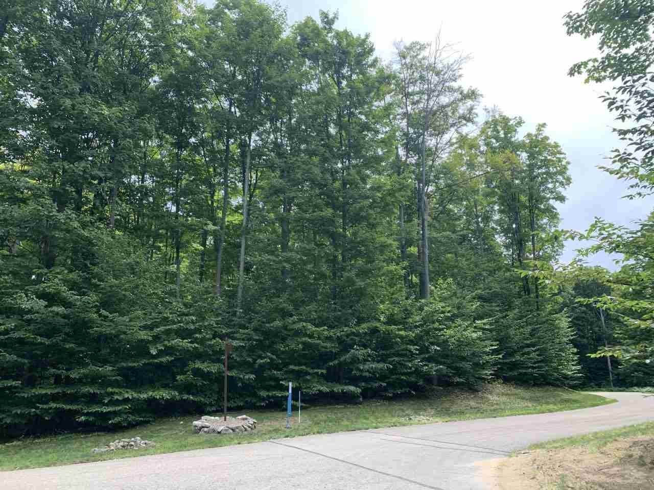 5. Land for Sale at Unit 157 Falcons Rest Bellaire, Michigan 49615 United States