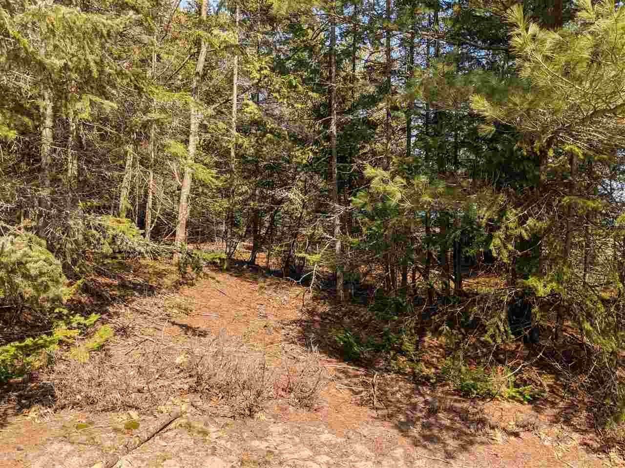 15. Land for Sale at Parcel 3 - 00 East Side Drive Beaver Island, Michigan 49782 United States