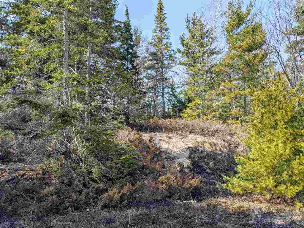 17. Land for Sale at Parcel 3 - 00 East Side Drive Beaver Island, Michigan 49782 United States