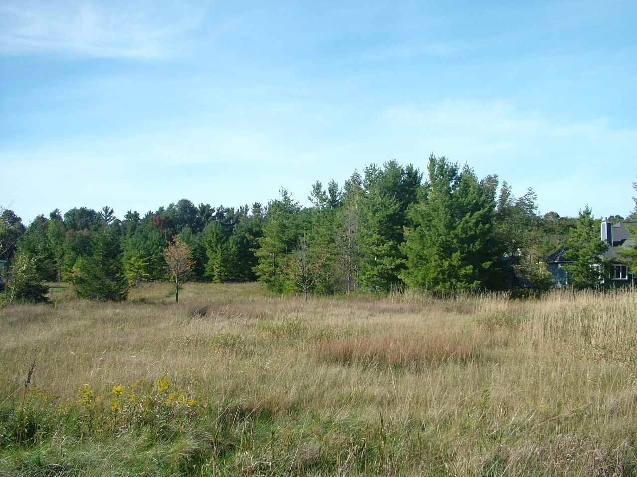 4. Land for Sale at Lot 16 Old Orchard Road Charlevoix, Michigan 49720 United States
