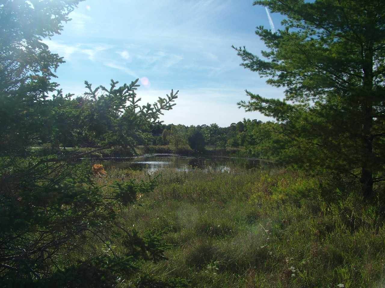 8. Land for Sale at Lot 16 Old Orchard Road Charlevoix, Michigan 49720 United States