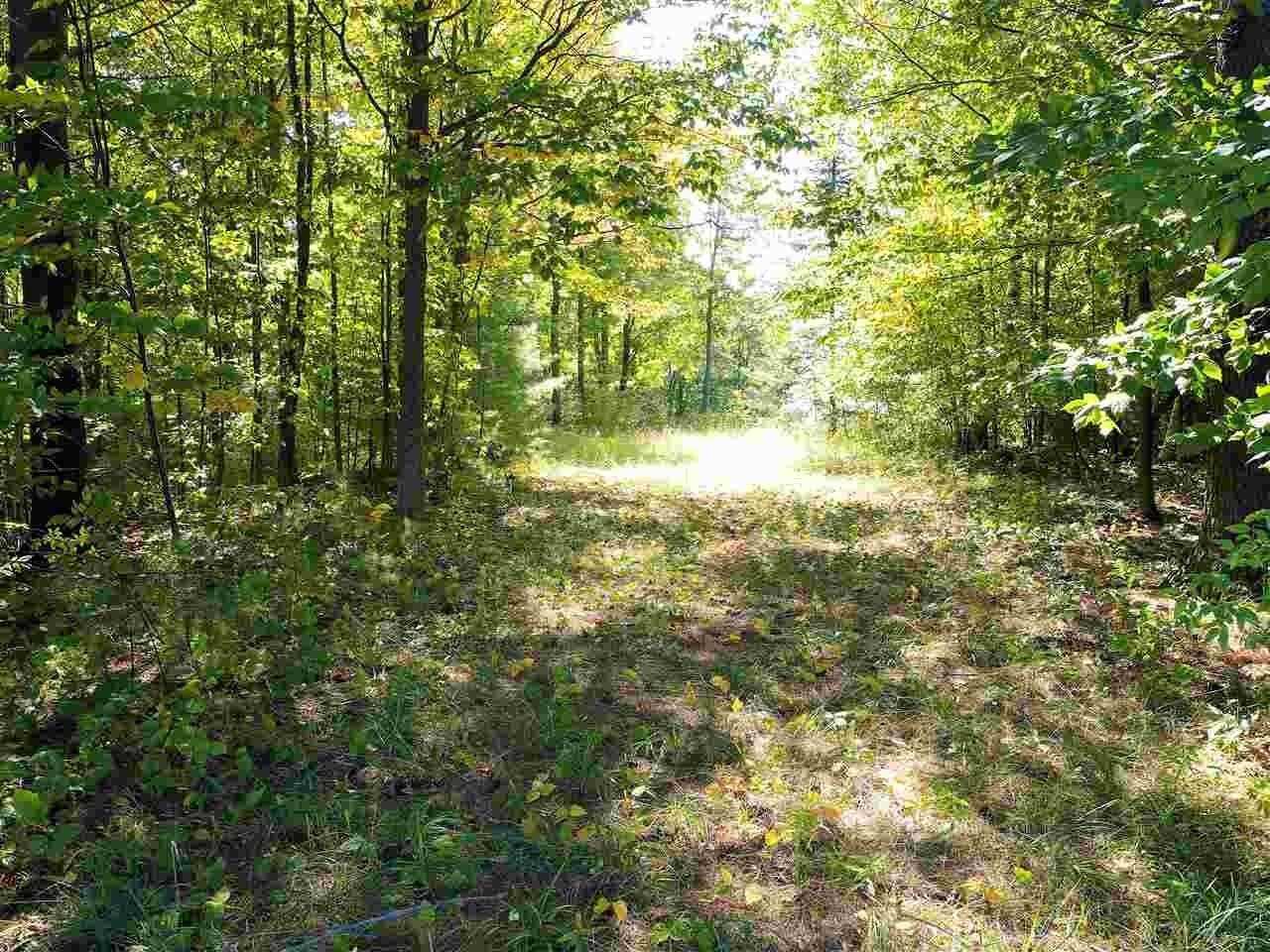 3. Land for Sale at Ridge View Court Drive Harbor Springs, Michigan 49740 United States