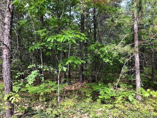 Land for Sale at TBD Chippewa Trail Rogers City, Michigan 49779 United States