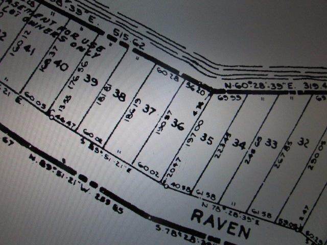 8. Land for Sale at TBD Raven Drive Ocqueoc, Michigan 49759 United States