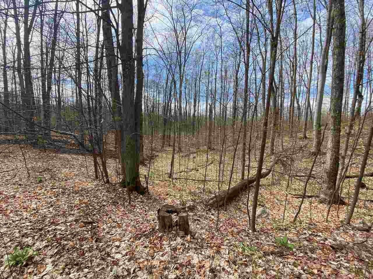 14. Land for Sale at Unit 105 Legend Trail Bellaire, Michigan 49615 United States