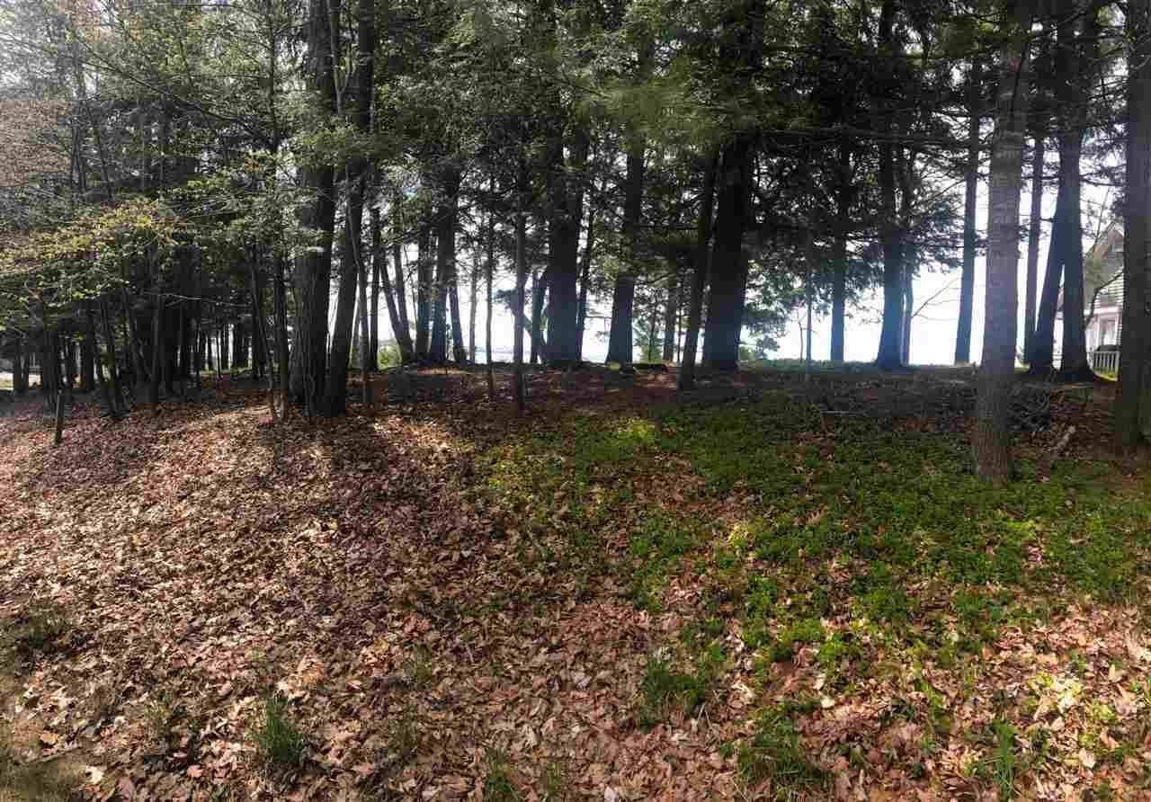 8. Land for Sale at 5830 Westward Passage Harbor Springs, Michigan 49740 United States