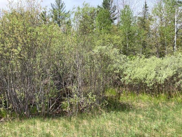 4. Land for Sale at TBD US 31 Highway Brutus, Michigan 49716 United States