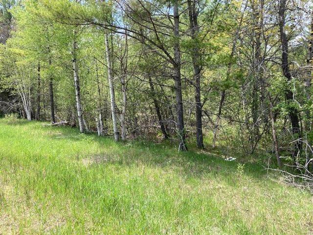 7. Land for Sale at TBD US 31 Highway Brutus, Michigan 49716 United States