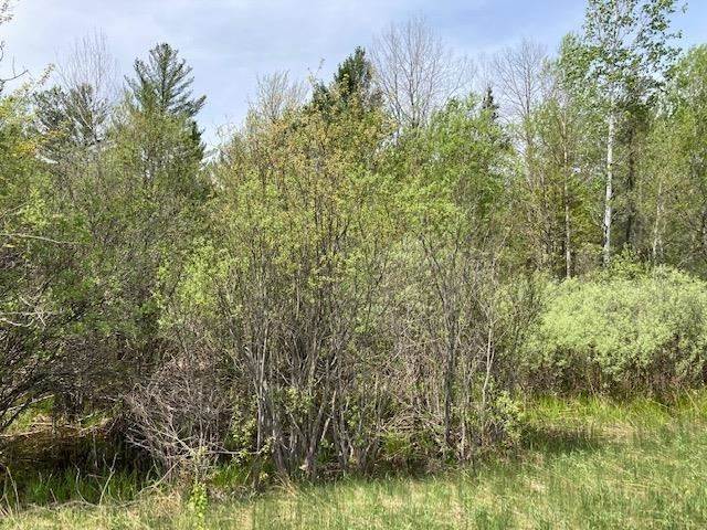 9. Land for Sale at TBD US 31 Highway Brutus, Michigan 49716 United States