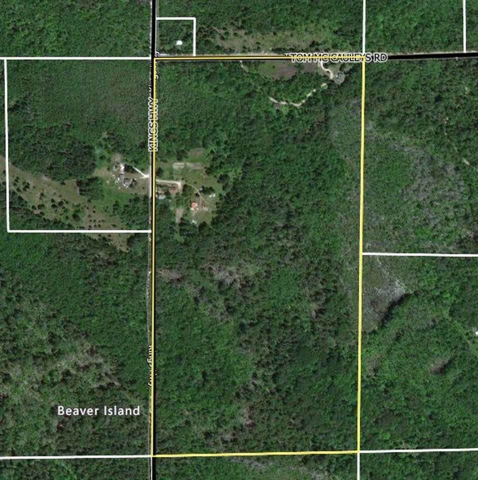 3. Land for Sale at Parcel A2,A3,A4 Kings Highway Beaver Island, Michigan 49782 United States