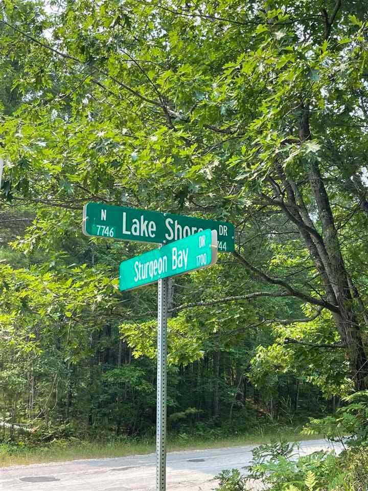26. Land for Sale at TBD Sturgeon Bay Drive Harbor Springs, Michigan 49740 United States