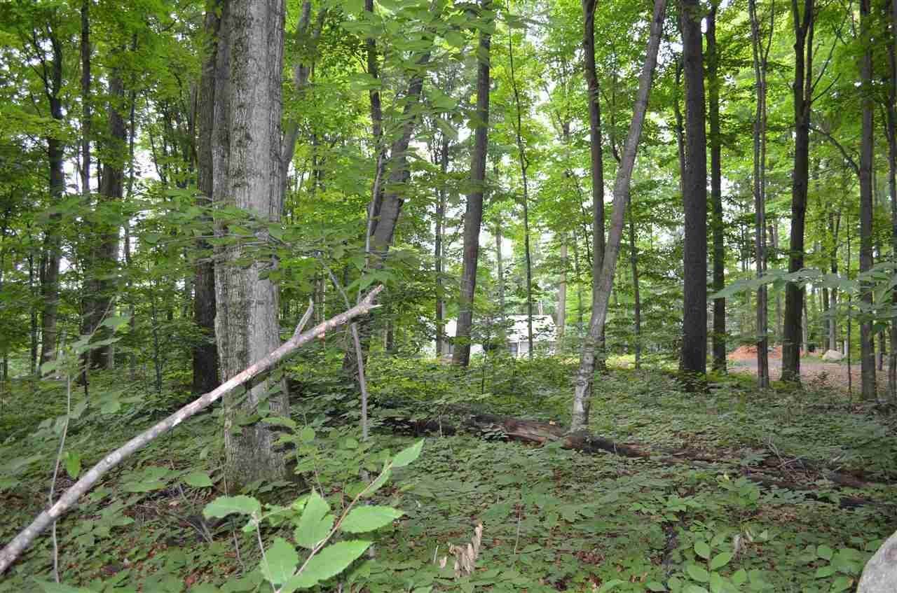 3. Land for Sale at 3231 Greenbriar Harbor Springs, Michigan 49740 United States