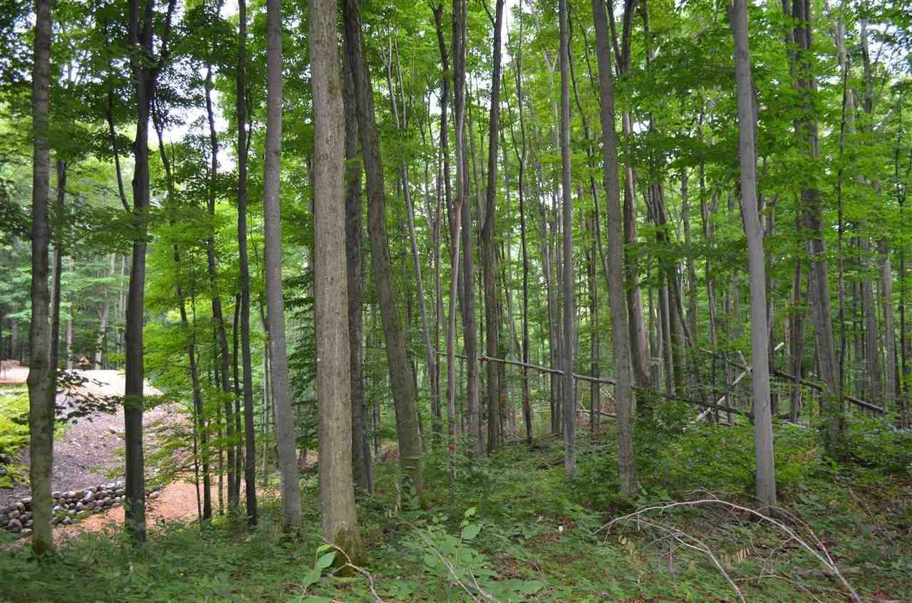 7. Land for Sale at 3231 Greenbriar Harbor Springs, Michigan 49740 United States