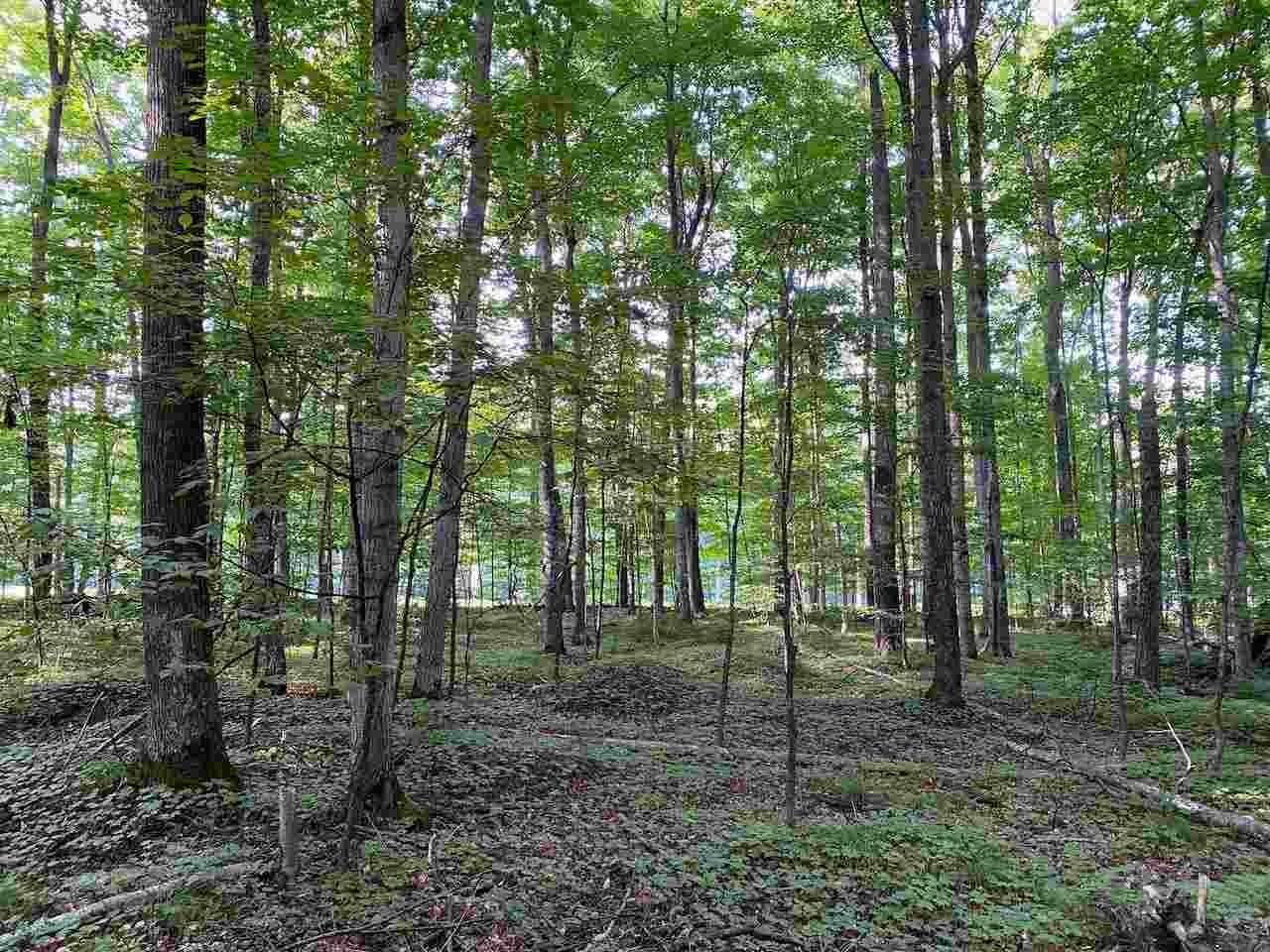 7. Land for Sale at 76 Troon North Bellaire, Michigan 49615 United States