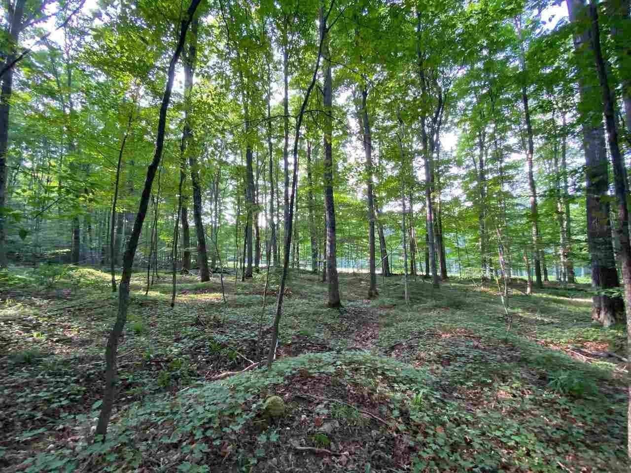 9. Land for Sale at 76 Troon North Bellaire, Michigan 49615 United States