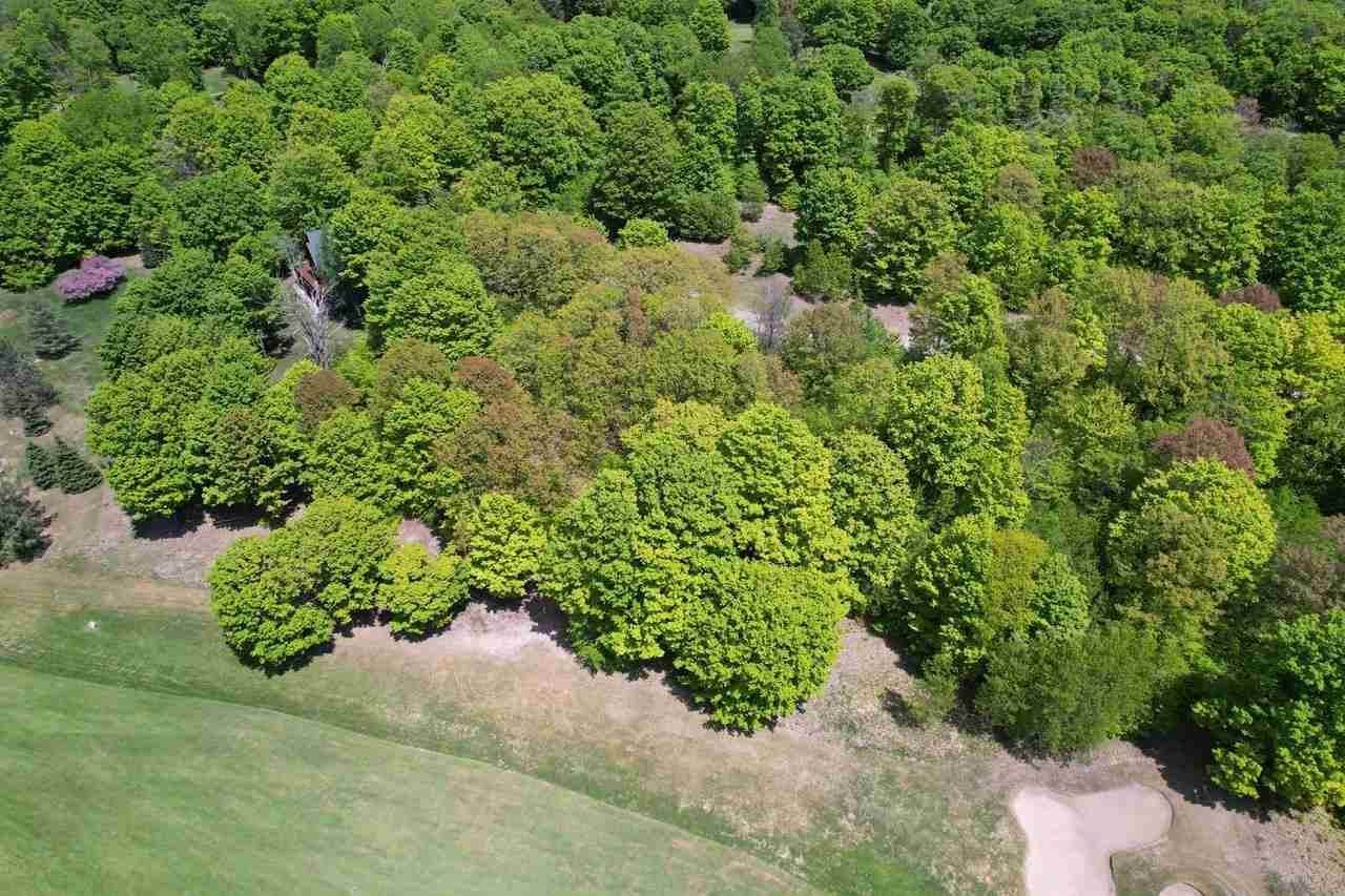 4. Land for Sale at Lot 69 Lost Woods Drive Boyne Falls, Michigan 49712 United States