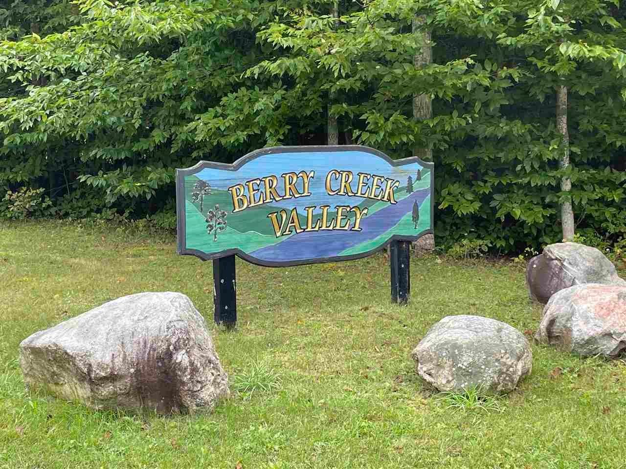 Land for Sale at TBD Berry Creek Valley Road Petoskey, Michigan 49770 United States