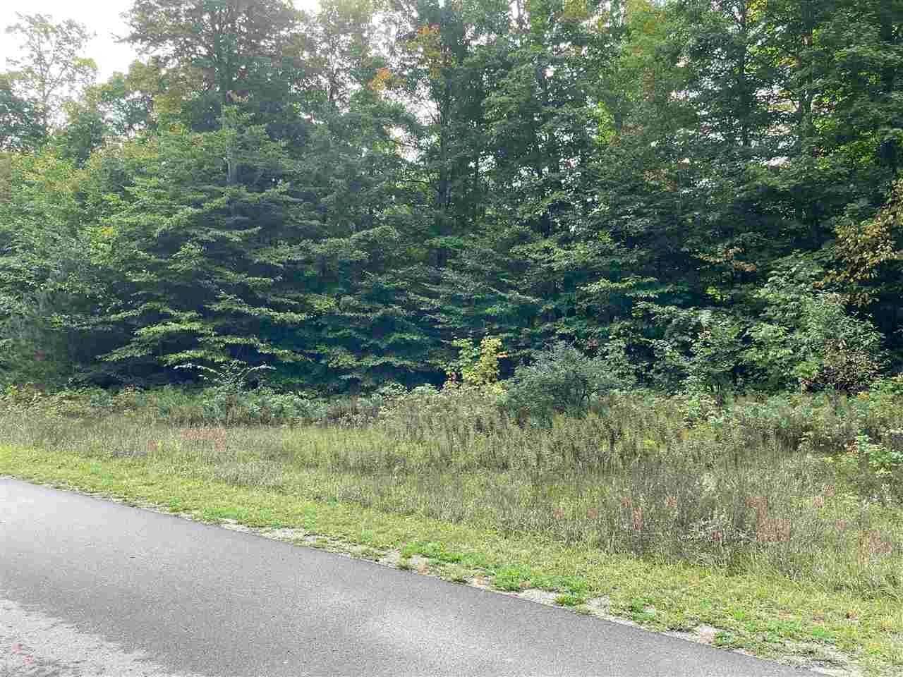 8. Land for Sale at TBD Berry Creek Valley Road Petoskey, Michigan 49770 United States