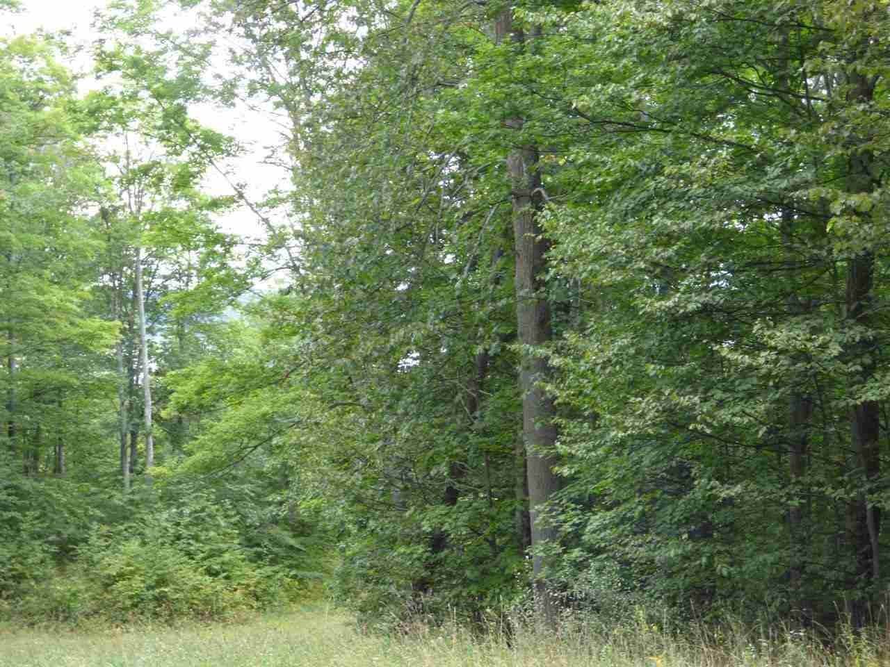 16. Land for Sale at Unit 82 Legend Trail Bellaire, Michigan 49615 United States