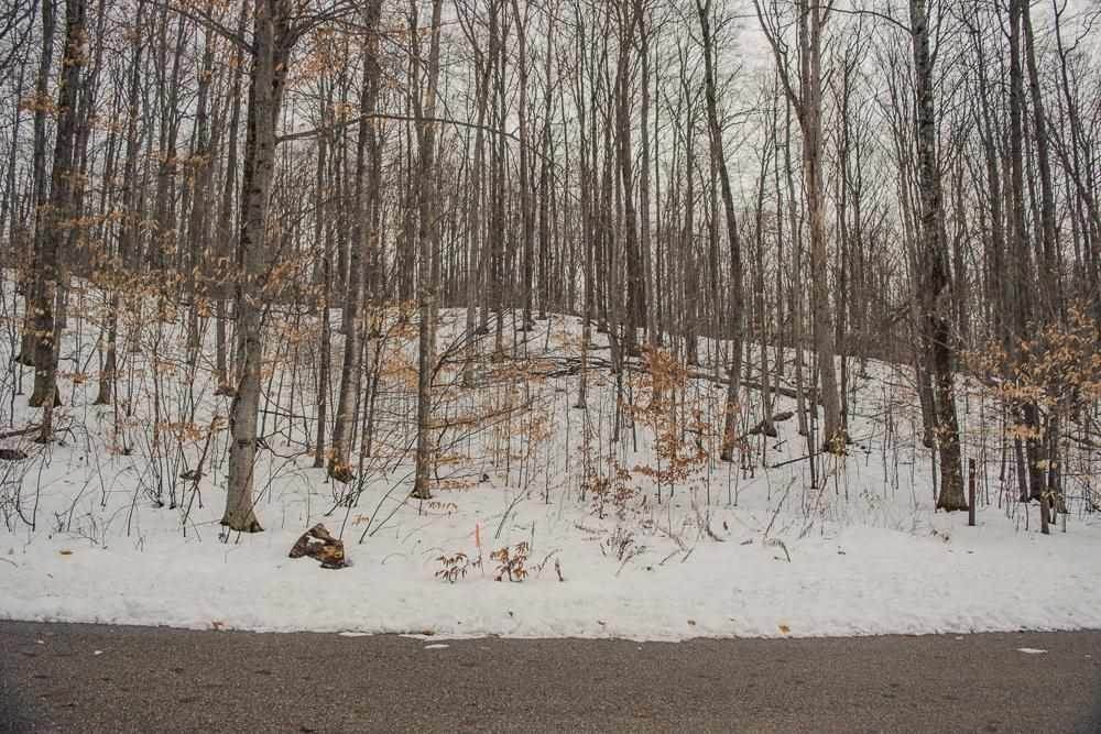 6. Land for Sale at 6129 Wintergreen Drive Harbor Springs, Michigan 49740 United States