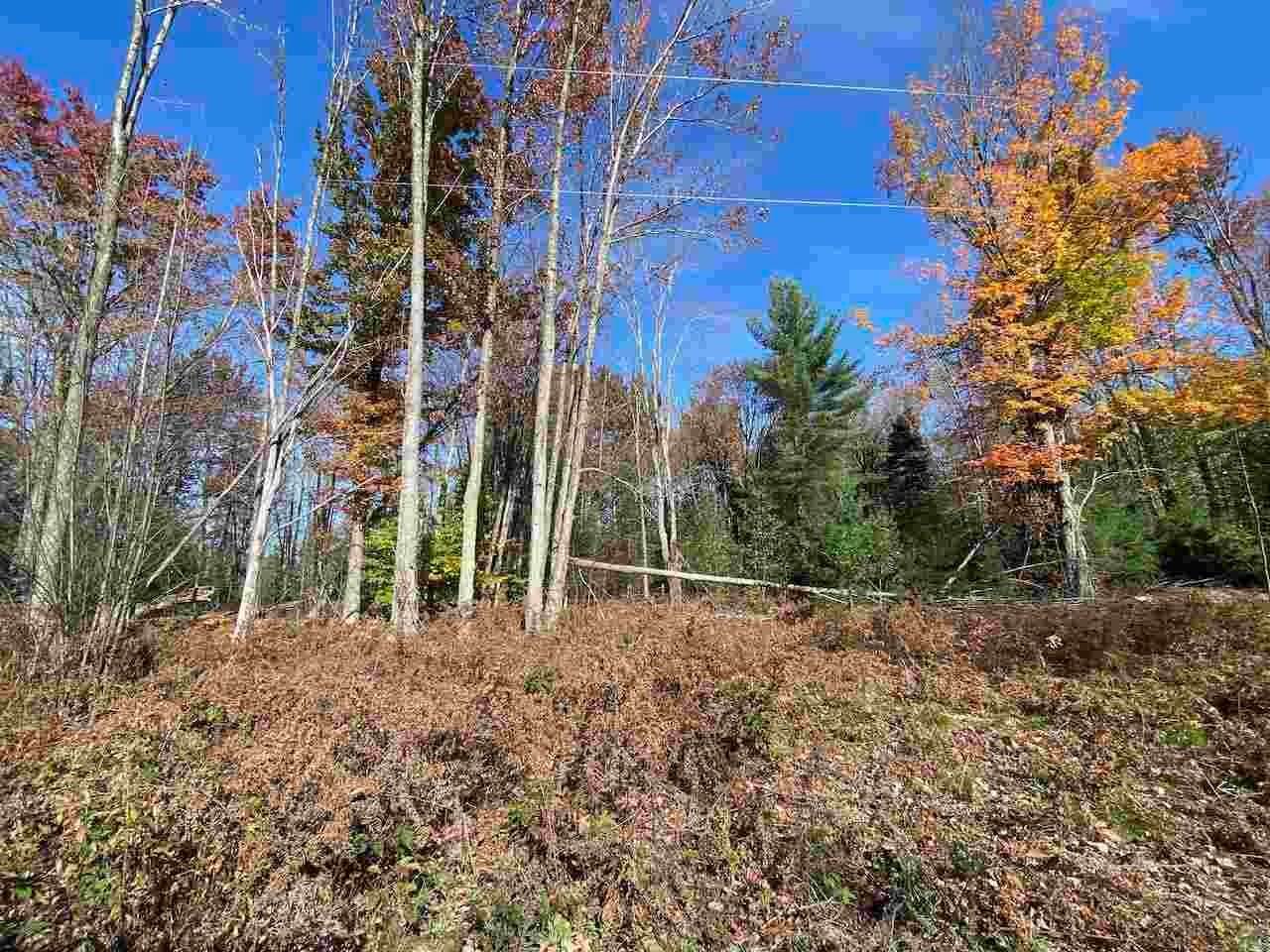 22. Land for Sale at 4687 Aero Park Drive Bellaire, Michigan 49615 United States