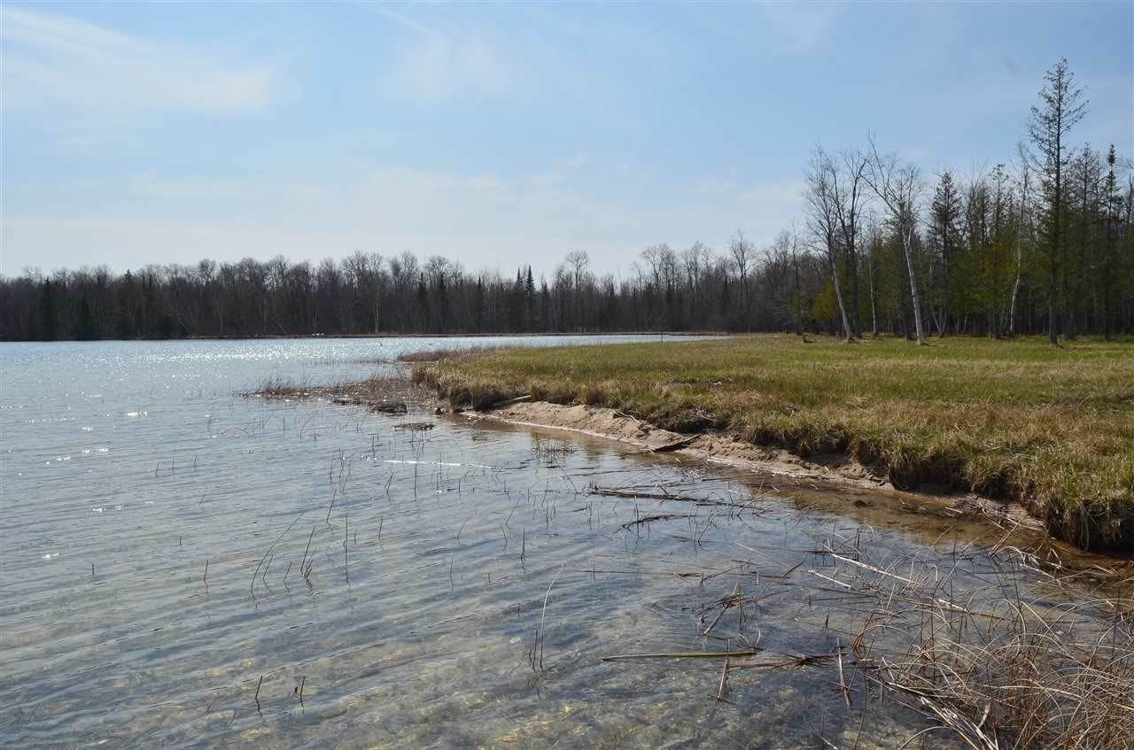 10. Land for Sale at Parcel B South Beach Drive Alanson, Michigan 49706 United States