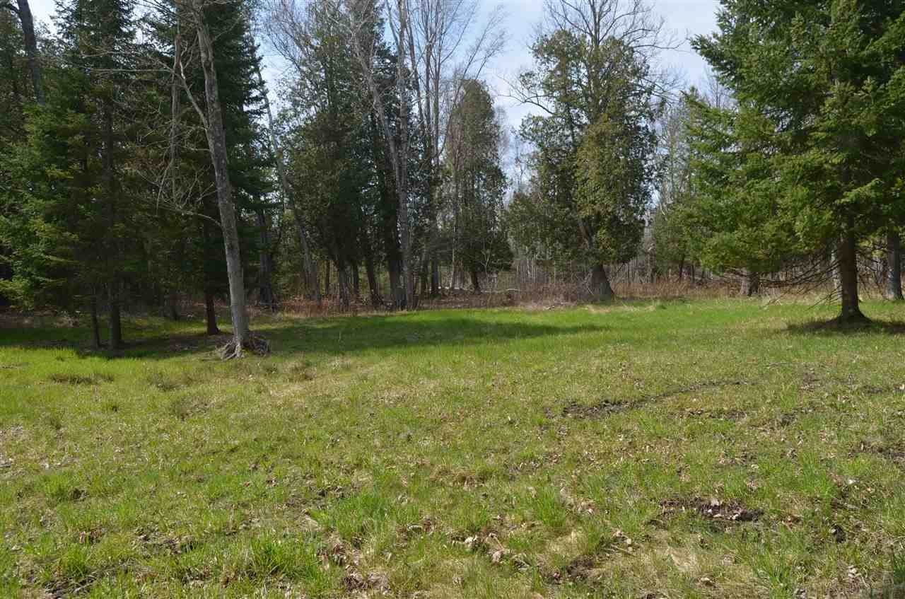 15. Land for Sale at Parcel A South Beach Drive Alanson, Michigan 49706 United States