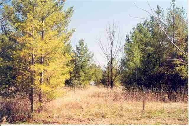 3. Land for Sale at Lot 31 Weislik Court Charlevoix, Michigan 49720 United States