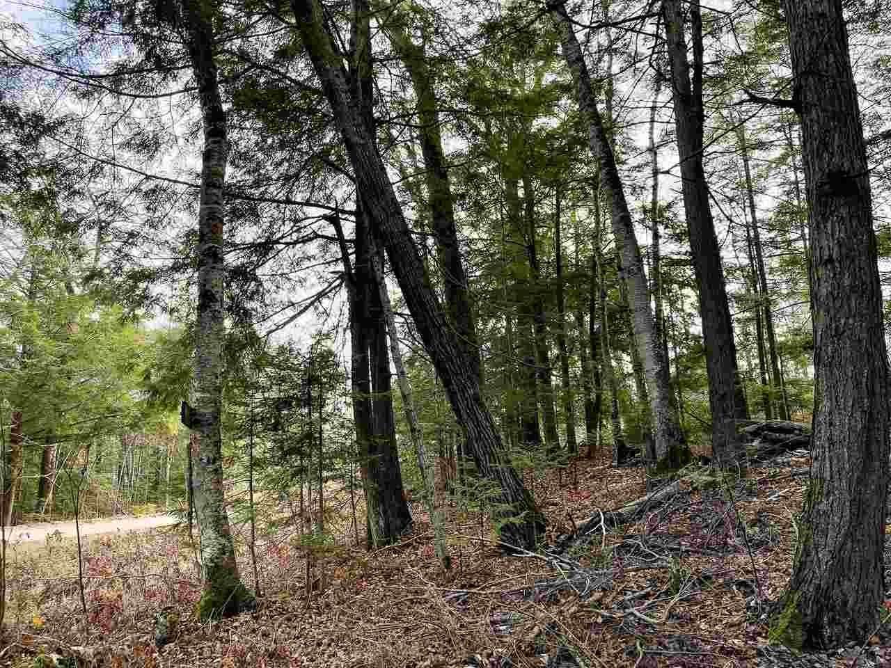 7. Land for Sale at Lot 24 East Side Drive Beaver Island, Michigan 49782 United States