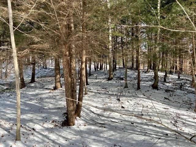 2. Land for Sale at 6869 Harbor-Petoskey Road Harbor Springs, Michigan 49740 United States
