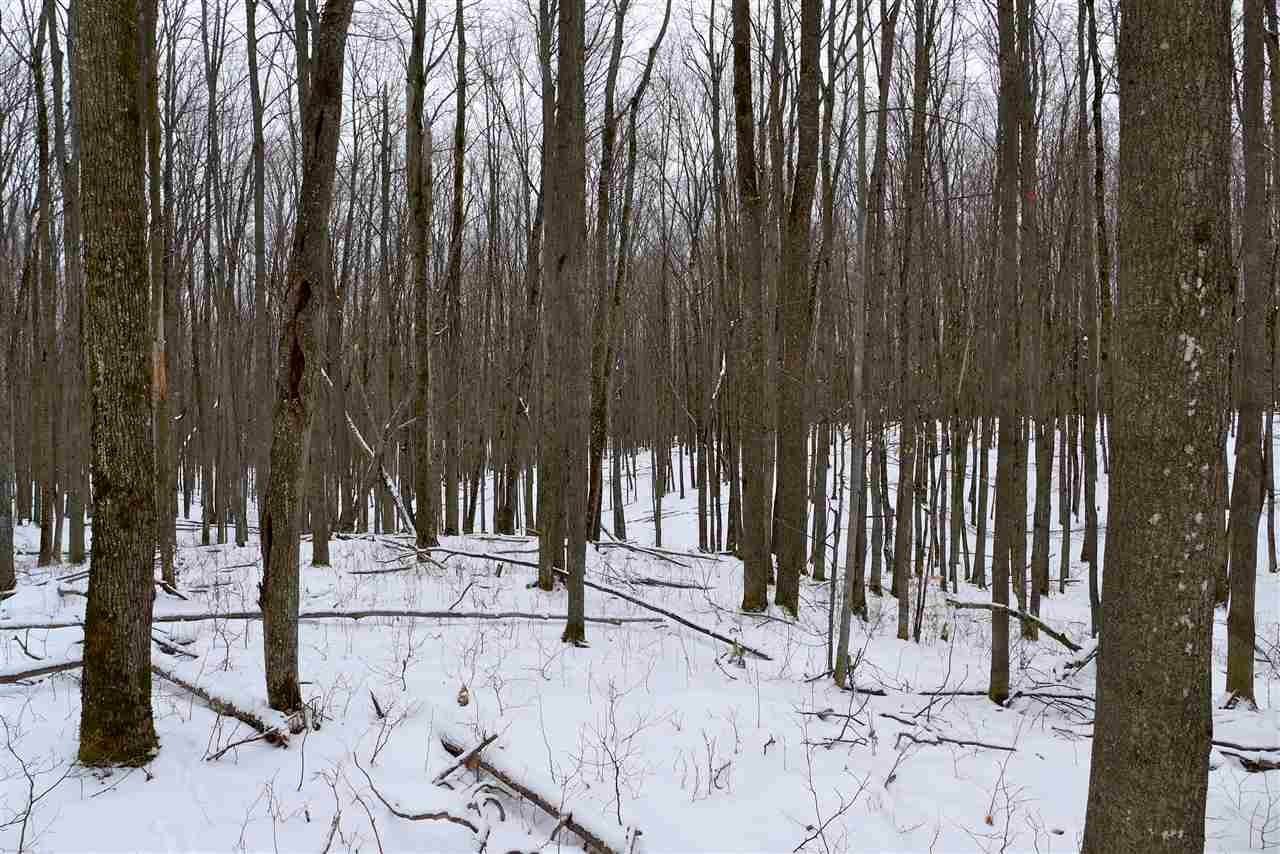 24. Land for Sale at Kim Trail Gaylord, Michigan 49735 United States