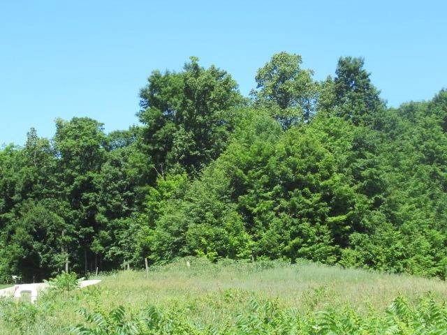 10. Land for Sale at 4295 Steeple Drive Drive Petoskey, Michigan 49770 United States
