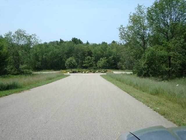4. Land for Sale at 1655 Penny Lane Petoskey, Michigan 49770 United States