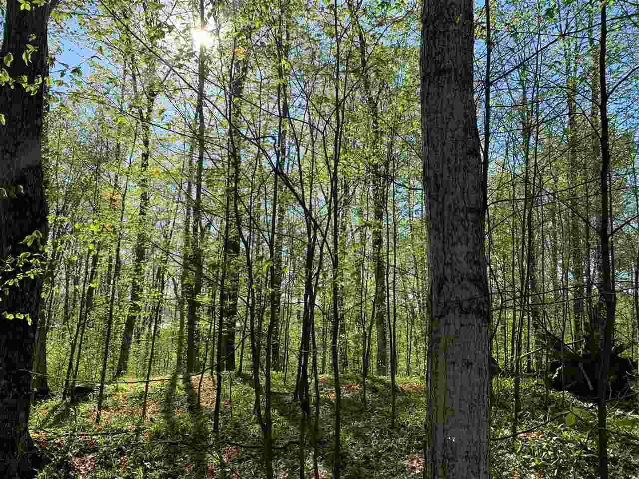 6. Land for Sale at Mountain Valley Drive Boyne City, Michigan 49712 United States