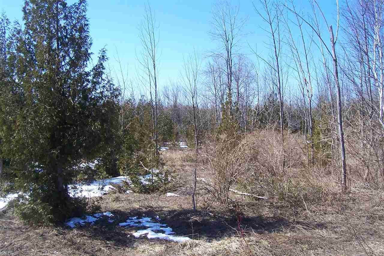 1. Land for Sale at Charlevoix View Drive Charlevoix, Michigan 49720 United States
