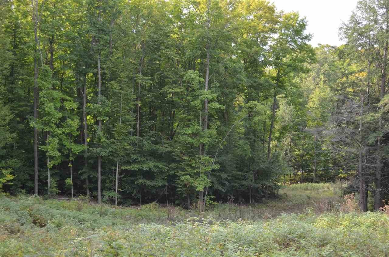 Land for Sale at Lot 29 High Pines Trail Boyne City, Michigan 49740 United States