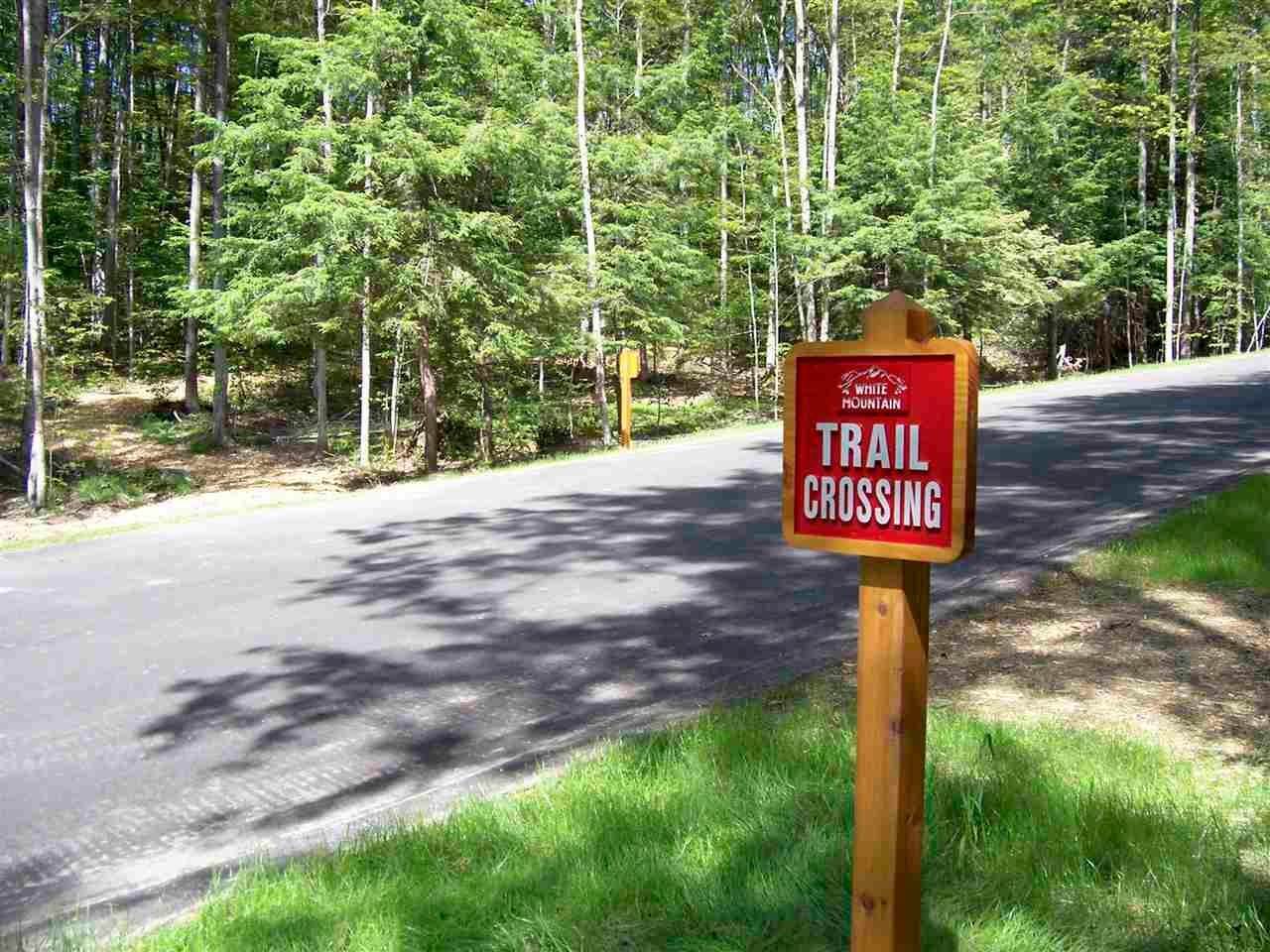 4. Land for Sale at Lot 10 High Pines Trail Boyne City, Michigan 49712 United States