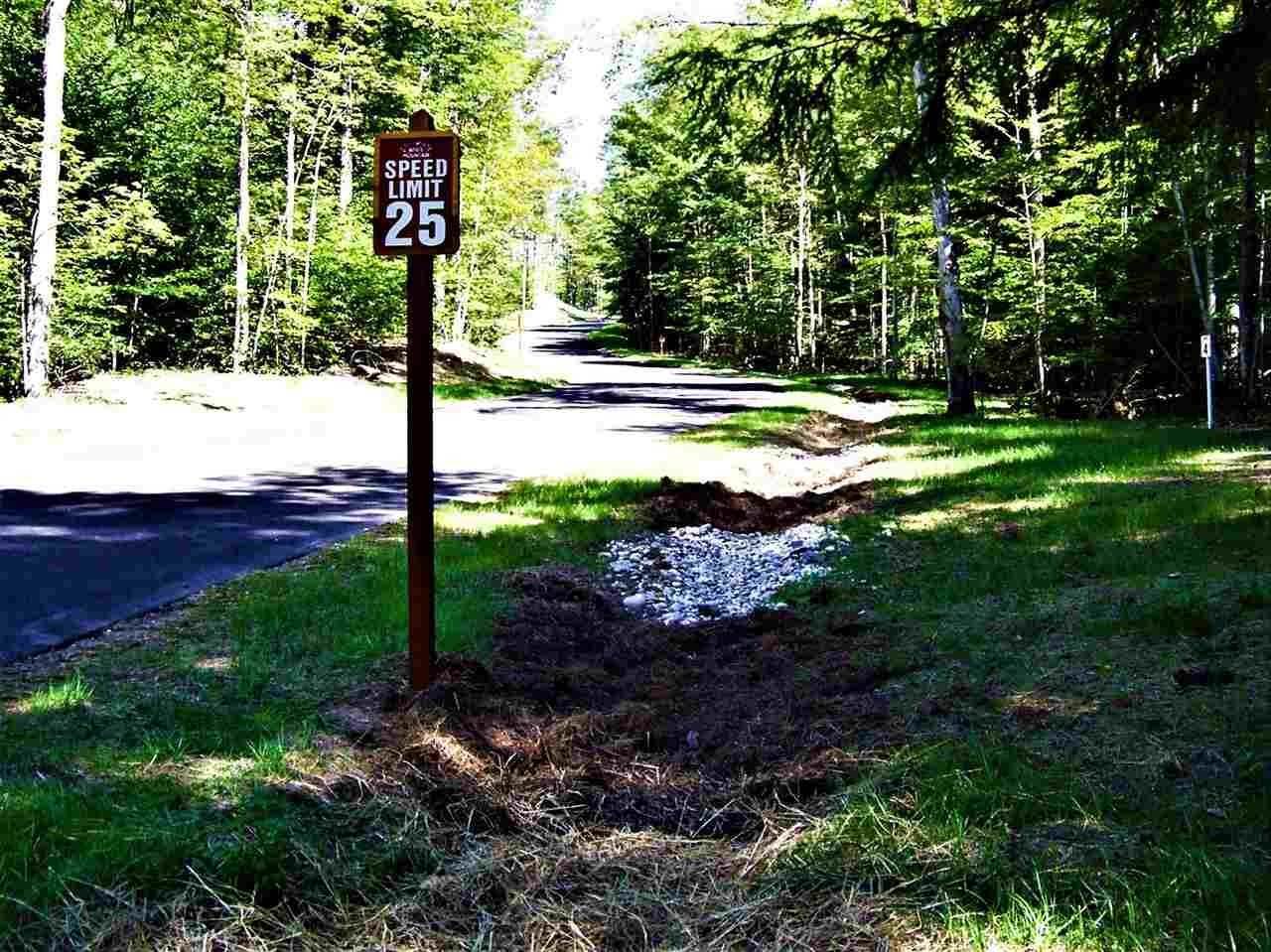 19. Land for Sale at Lot 4 High Pines Trail Boyne City, Michigan 49712 United States