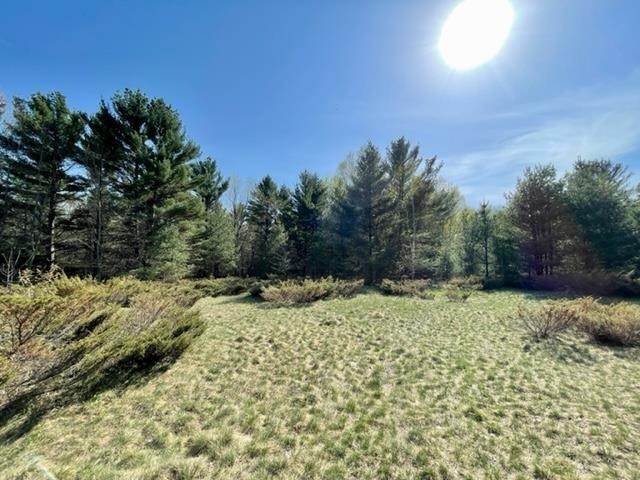 8. Land for Sale at 28038 Sloptown Road Beaver Island, Michigan 49782 United States