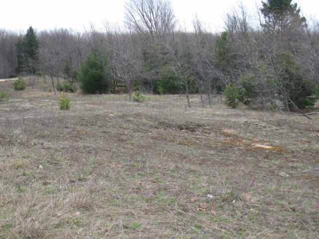 12. Land for Sale at M-68 Alanson, Michigan 49706 United States